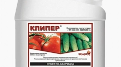 Mramorová chyba: popis a opatrenia boja